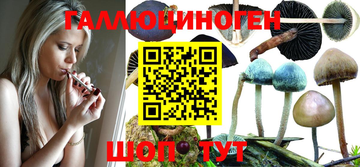 Камышин  Галлюциногенные грибы Psilocybine cubensis  наркошоп  Вход с VPN  Псилоцибиновые грибы MAGIC MUSHROOMS 