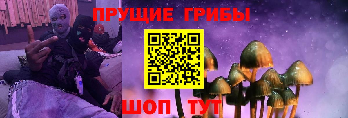 Псилоцибиновые грибы мухоморы Камышин
